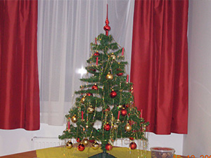 Beitragsbild_Weihnachtsfeier_2007